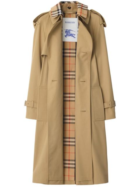 Cotton trench coat