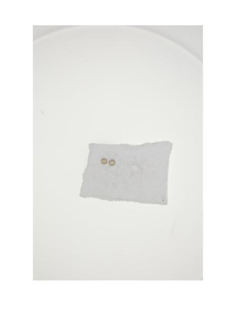 Dior Dior Women Petit Cd Circle Stud Earrings