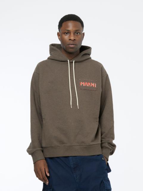 Marni SWEATSHIRT (COFFEE)