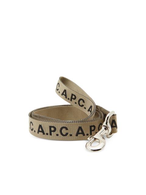Toutou logo leash