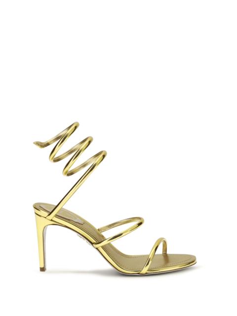 RENE CAOVILLA Rene Caovilla Metallic Cleo Sandals In Leather