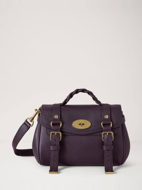 Mulberry Mini Alexa
Deep Aubergine Heavy Grain