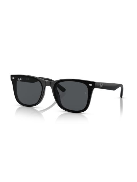 Ray-Ban RB4391D