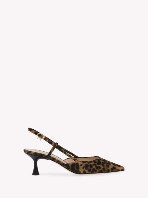 Gianvito Rossi ASCENT 55