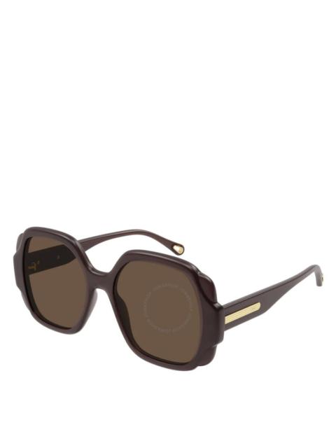 Chloé Chloe Brown Oversized Ladies Sunglasses CH0121S 001 55