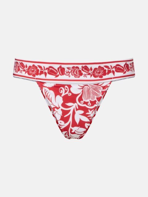FARM RIO Printed bikini bottoms