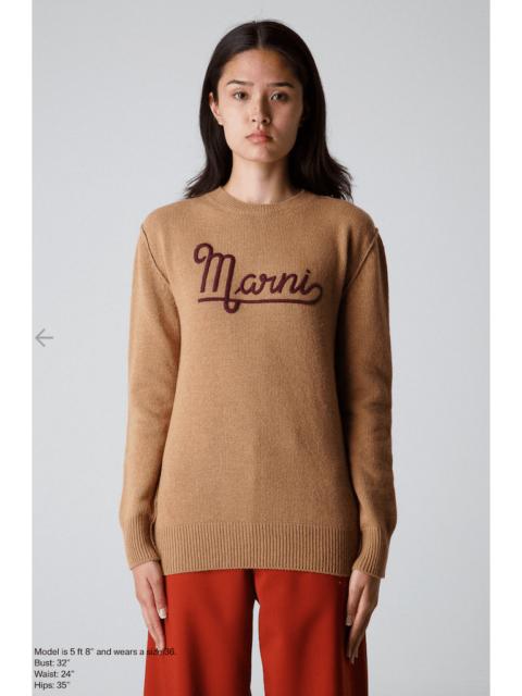 Marni $790 Marni Roundneck Sweater Brown