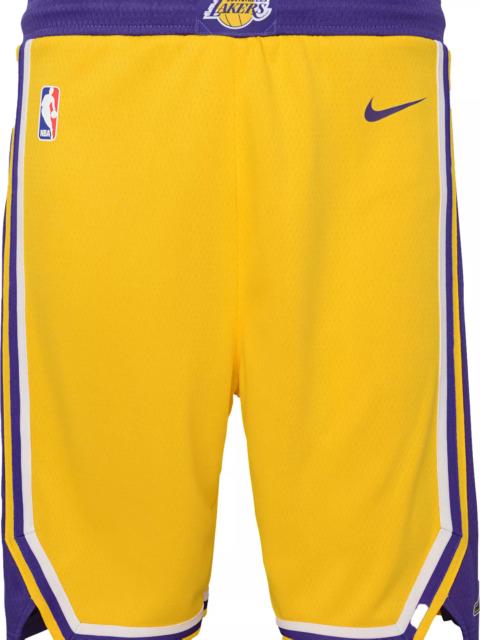 Nike Nike Youth Los Angeles Lakers Los Angeles Lakers Icon Shorts