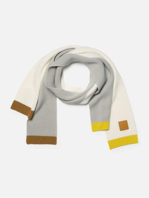 Loewe ASYMMETRIC SCARF