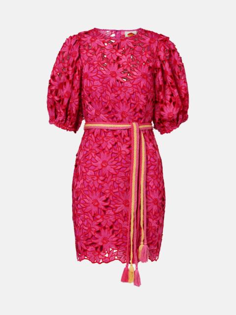 FARM RIO Belted lace minidress