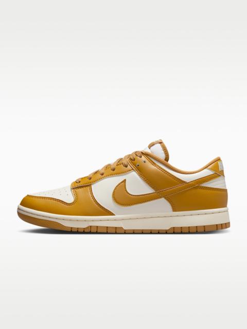 Nike Nike Dunk Low Retro Men's Shoes