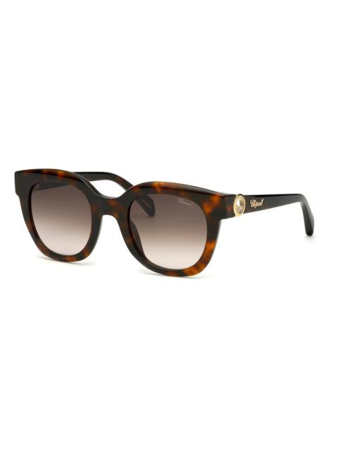 Chopard Chopard Brown Gradient Oval Ladies Sunglasses SCH335S 01AY 52