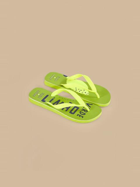 FARM RIO Green Lime Havaianas Sandals
