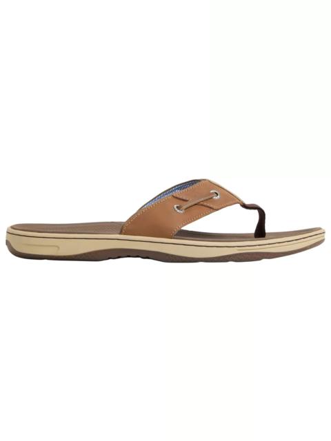 SPERRY Sperry Men's Top Sider Baitfish Flip Flop