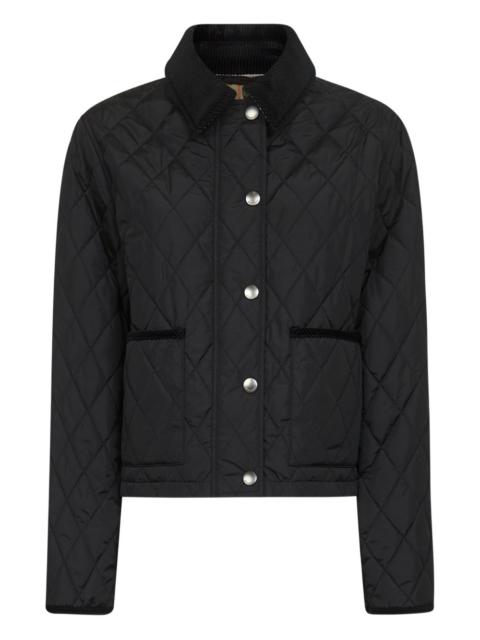 Burberry Jackets Black