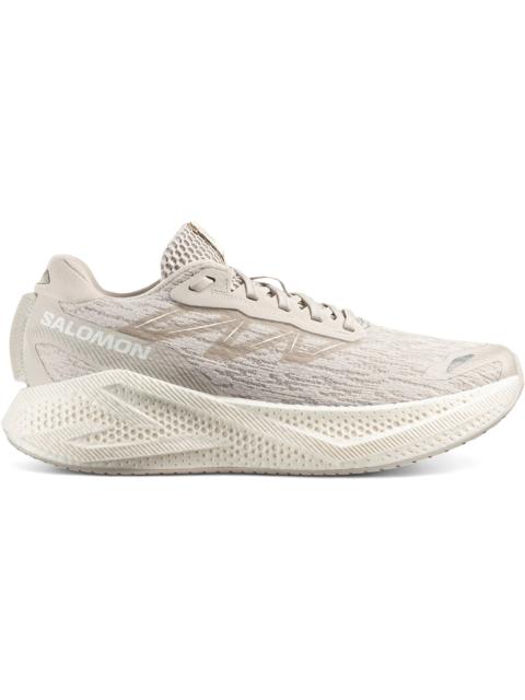 SALOMON Salomon Aero Glide 4 Silver Cloud