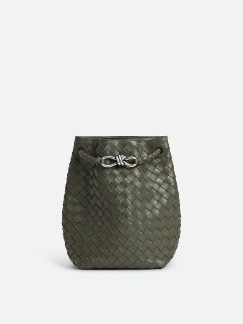 Bottega Veneta Small Andiamo Bucket
