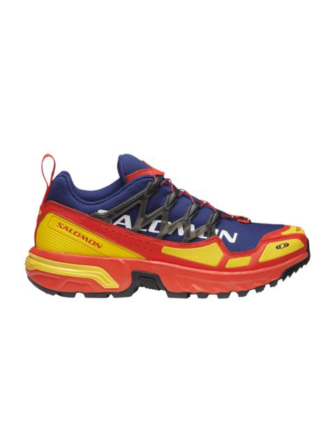 SALOMON ACS+ 'Heritage Pack - Cherry Tomato'