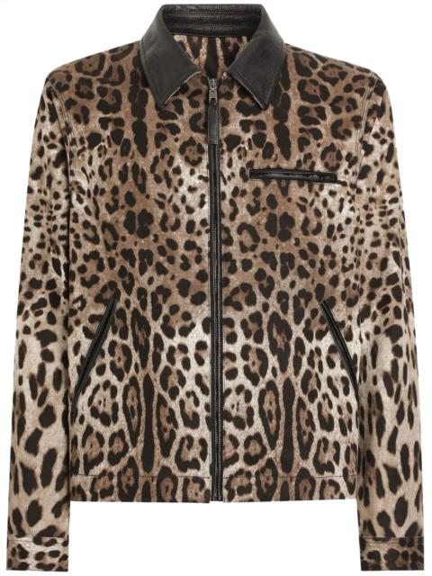 Dolce & Gabbana leopard-print bomber jacket