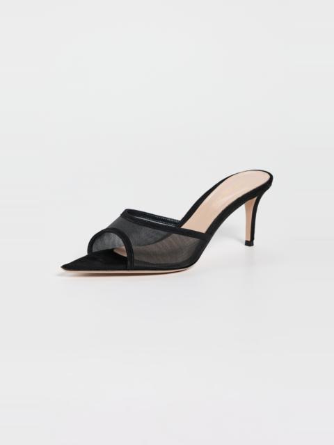 Gianvito Rossi Sienna Mules 70mm
