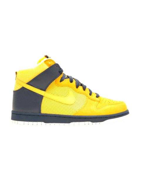 Nike Dunk High