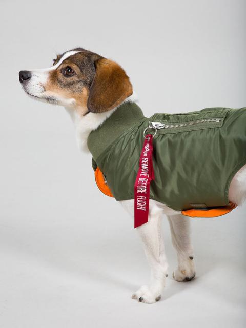 ALPHA INDUSTRIES DOG MA-1 NYLON FLIGHT JACKET