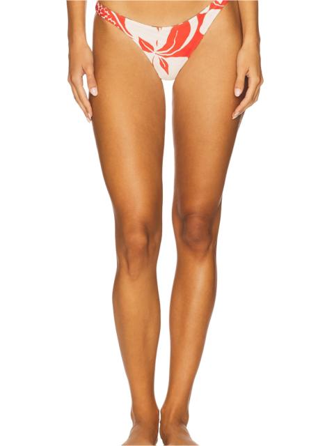 L*SPACE Damian Bottom