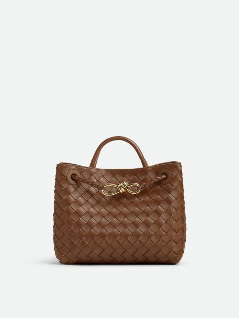 Bottega Veneta Small Andiamo