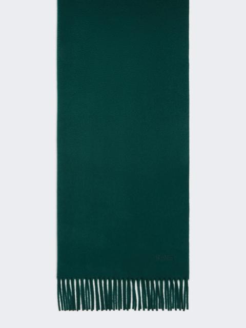 Max Mara BACI Cashmere stole with embroidery and fringing