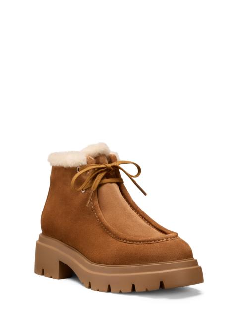 Stuart Weitzman Stuart Weitzman Hudson Genuine Shearling Lined Chukka Boot in Doe/Vanilla at Nordstrom