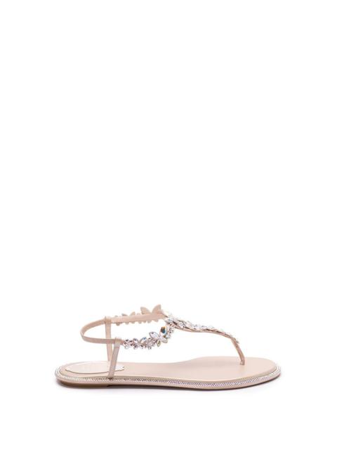 René Caovilla Women Thong Sandals