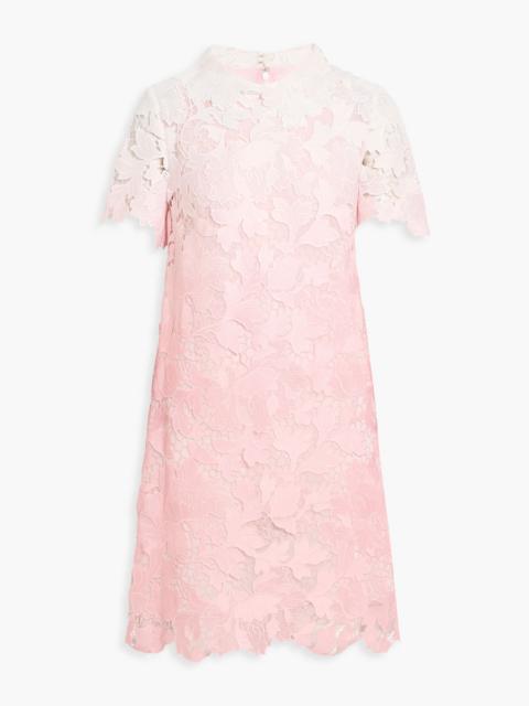 Oscar de la Renta Dégradé guipure lace mini dress