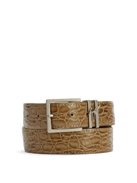 Giuseppe Zanotti Teodore