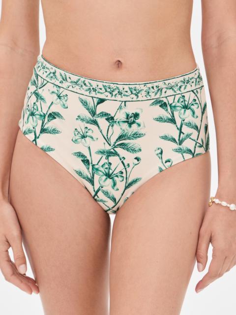 Agua by Agua Bendita Magenta Ceiba Bikini Bottoms