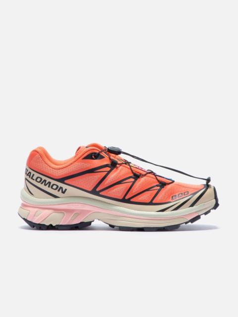 SALOMON XT-6