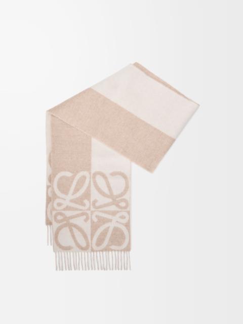 Loewe Scarf in wool and cashmere