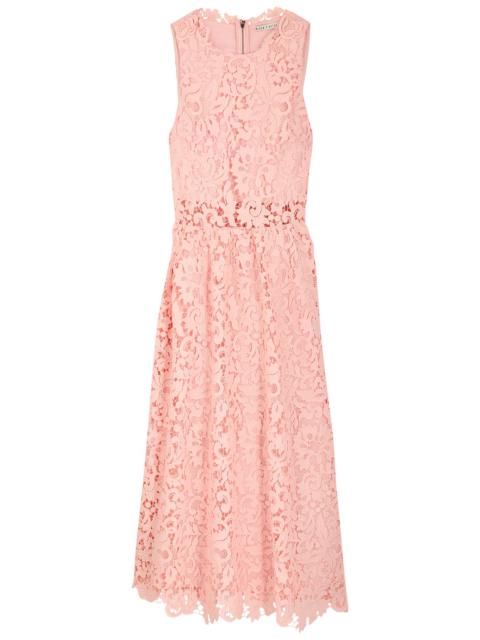 Alice + Olivia Babette Guipure-lace Midi Dress
