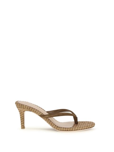 Gianvito Rossi Gianvito Rossi Women Calypso Sandals