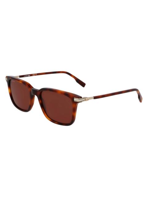 LACOSTE Lacoste Brown Square Men's Sunglasses L6035S 214 53