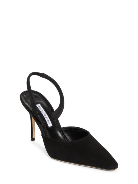 Manolo Blahnik Manolo Blahnik Borelapla Slingback Pump in Black at Nordstrom