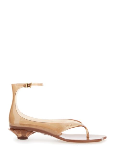 Chloé Chloé Women 'Jelly' Brown Sandals With Logo Imprinted On The Side And Ankle Buckle Closure In Tpu Wo