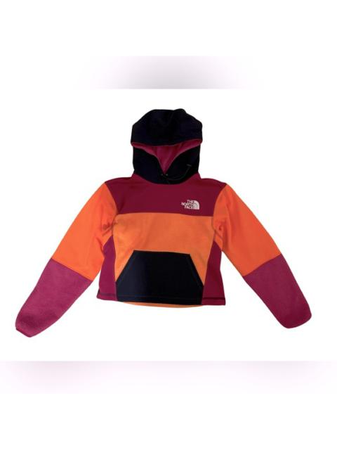 The North Face Colorblocked Pullover Hoodie XS