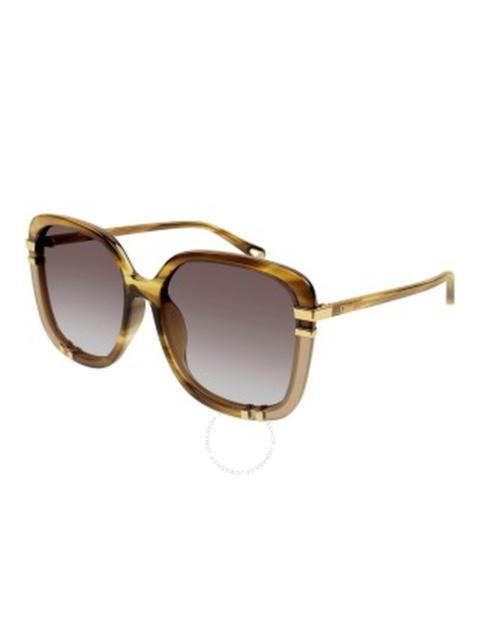 Chloé Chloe Brown Square Ladies Sunglasses CH0106SA 006 59