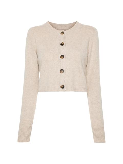 Loulou de Saison corto