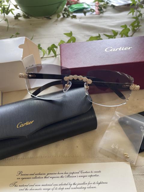Cartier Cartier Buffs 