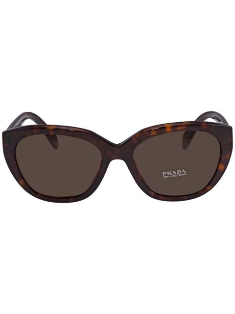 Prada Prada Brown Cat Eye Ladies Sunglasses PR 16XS 2AU8C1 56