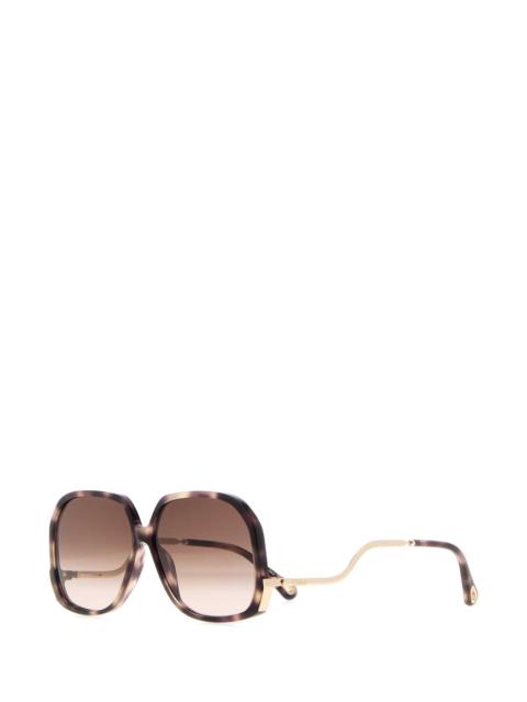 Chloé Chloe Women Printed Acetate Sunglasses