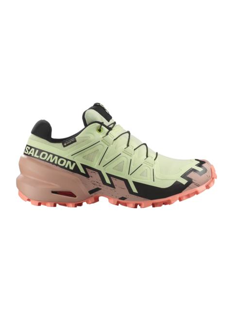 SALOMON SPEEDCROSS 6 GORE-TEX