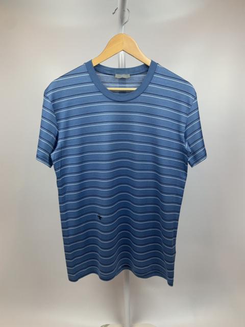Dior Dior Homme - S/S 2010 - Stripe Bee Shirt by Kris Van Assche