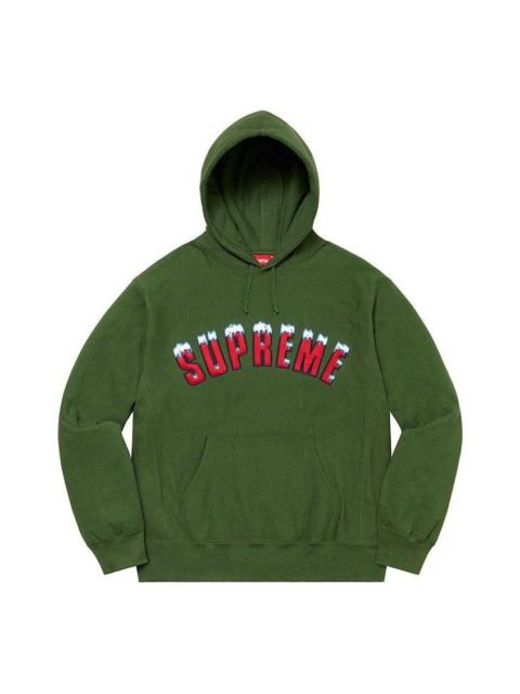 Supreme Supreme FW20 Week 1 Icy Arc Hoodie 'Olivegreen' SUP-FW20-004